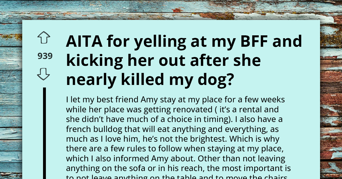 Redditors Drum Their Support For Lady Who Threw Her Best Friend Out After She Nearly Killed Her Dog