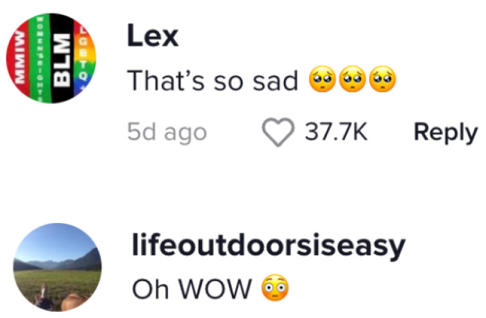 This is what people said in the comments section of Tiktok video