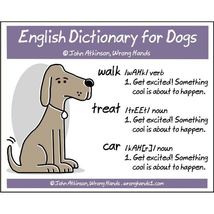 11. English dictionary for dogs.