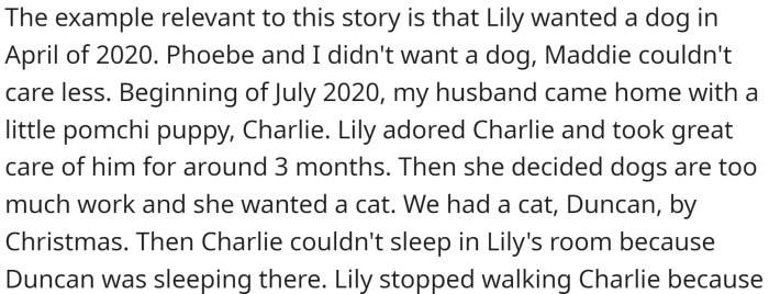 In July 2020, her husband came home with a little pom chi puppy, Charlie, which Lily quickly grew attached to and began caring for him. However, after a few months, Lily decided that dogs were too much work and wanted a cat instead.