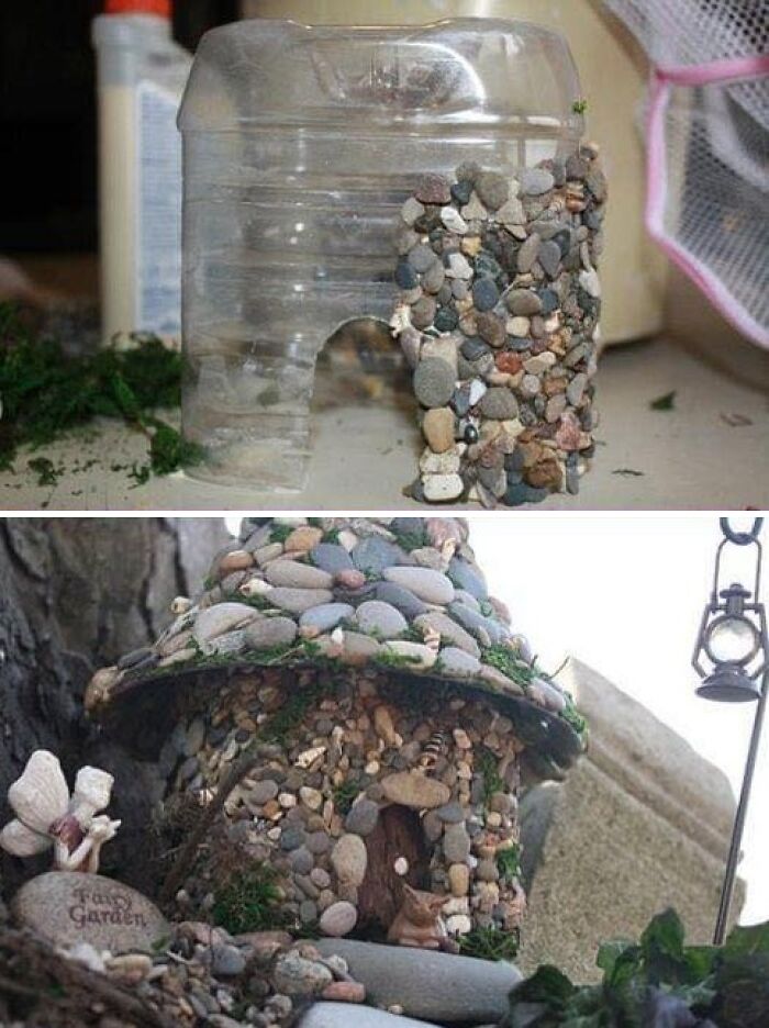 Toad house