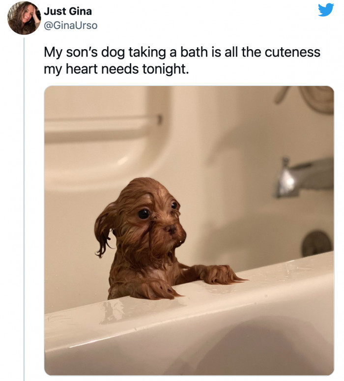 3. What you need to get through a tough week: this cutie taking a bath