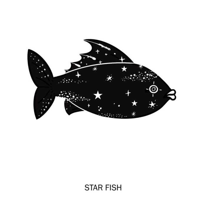 13. Star fish