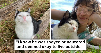 After A 10-Year Friendship With A Human, Feral Cat Finally Chooses To Move In