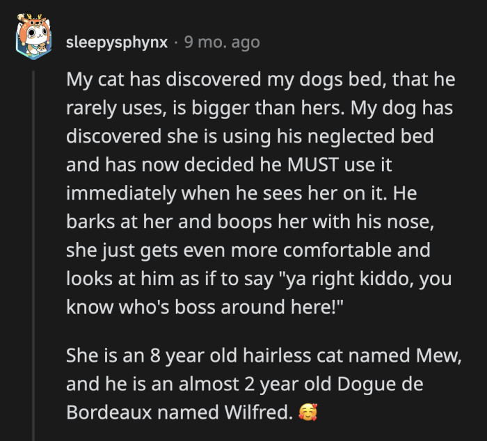 40 Animal Owners Detail The Amusing Feuds And Petty Competitions Their ...