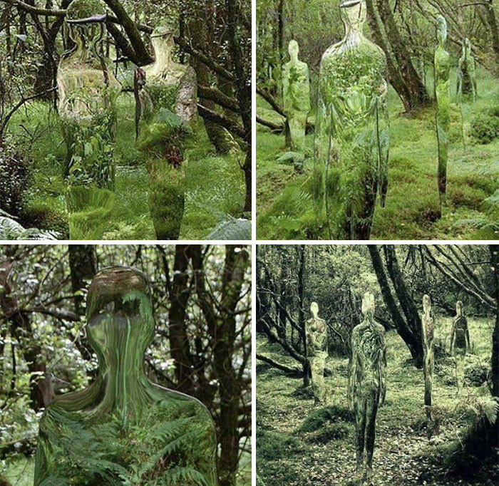 42. Mirror Sculptures Reflect The Forest By Scottish Artist Rob Mulholland