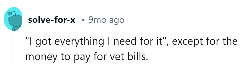 Entitled Pet Seeker Ridiculed For Demanding Purebred Kitten At Bargain