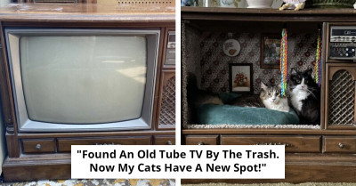 From Worn-Out To Wonderful With Restoration Projects