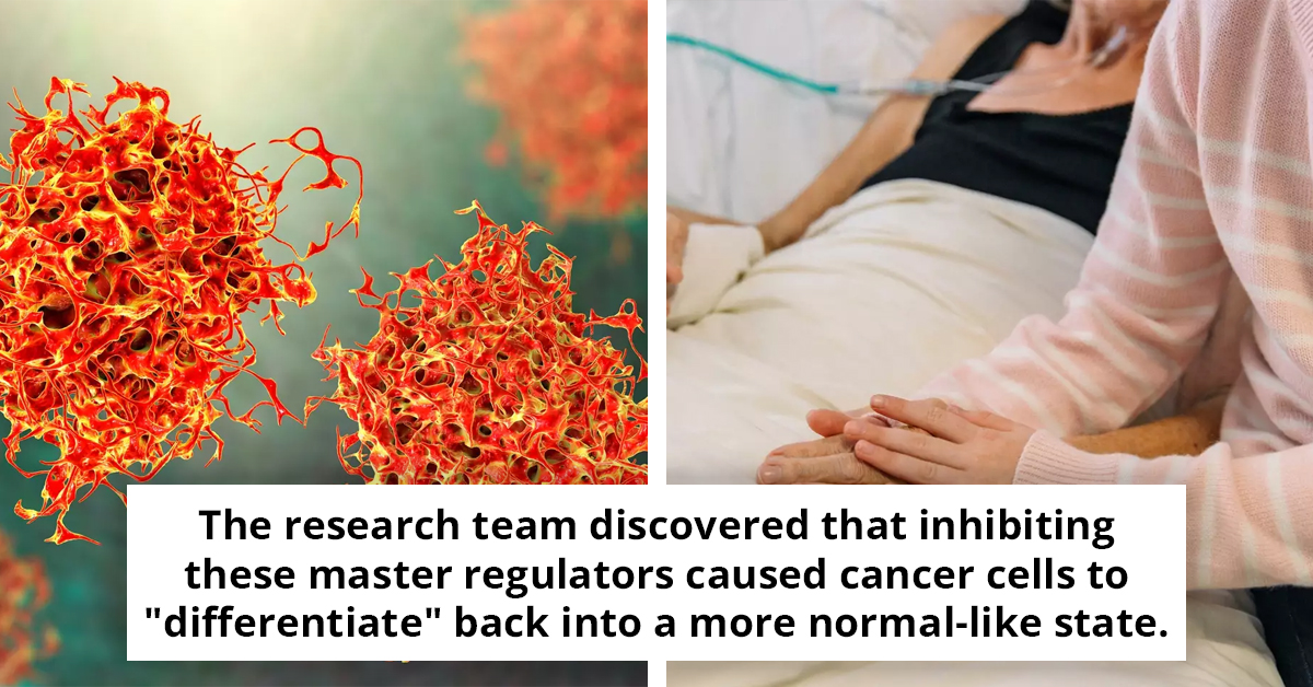 Scientists Uncover Revolutionary Method To Transform Cancer Cells Back To Healthy Ones