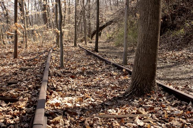 No more railroad tracks. Only nature.