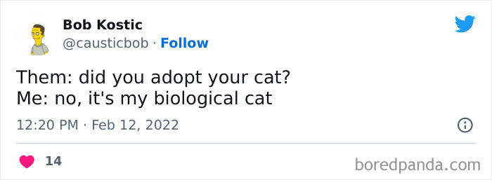 49. Biological cat