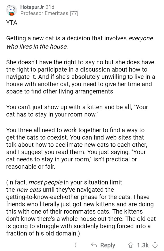 Redditors Are Mad At OP For Asking Roommate To Keep Her Elderly Cat In