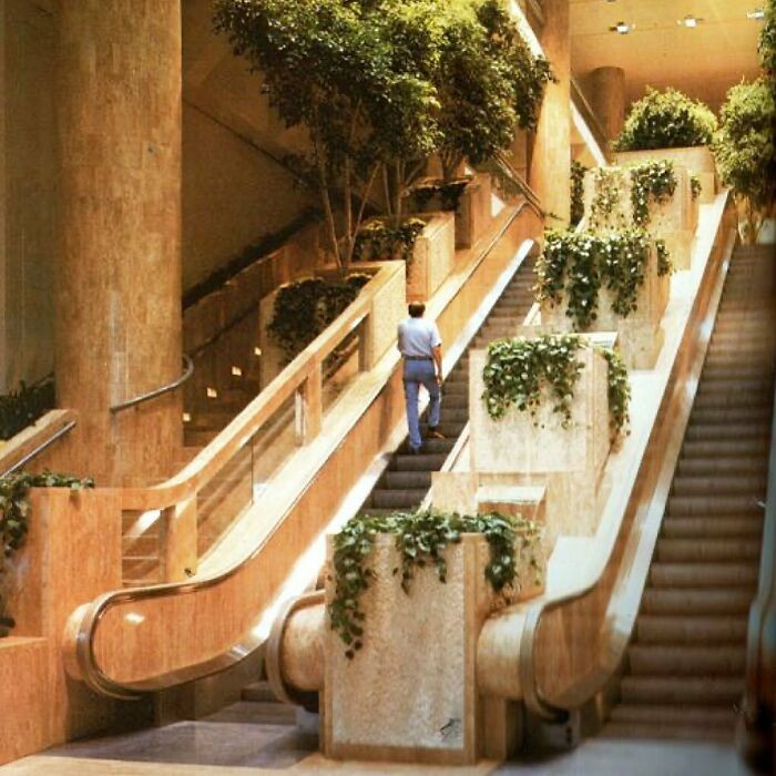 12. Mall 1981