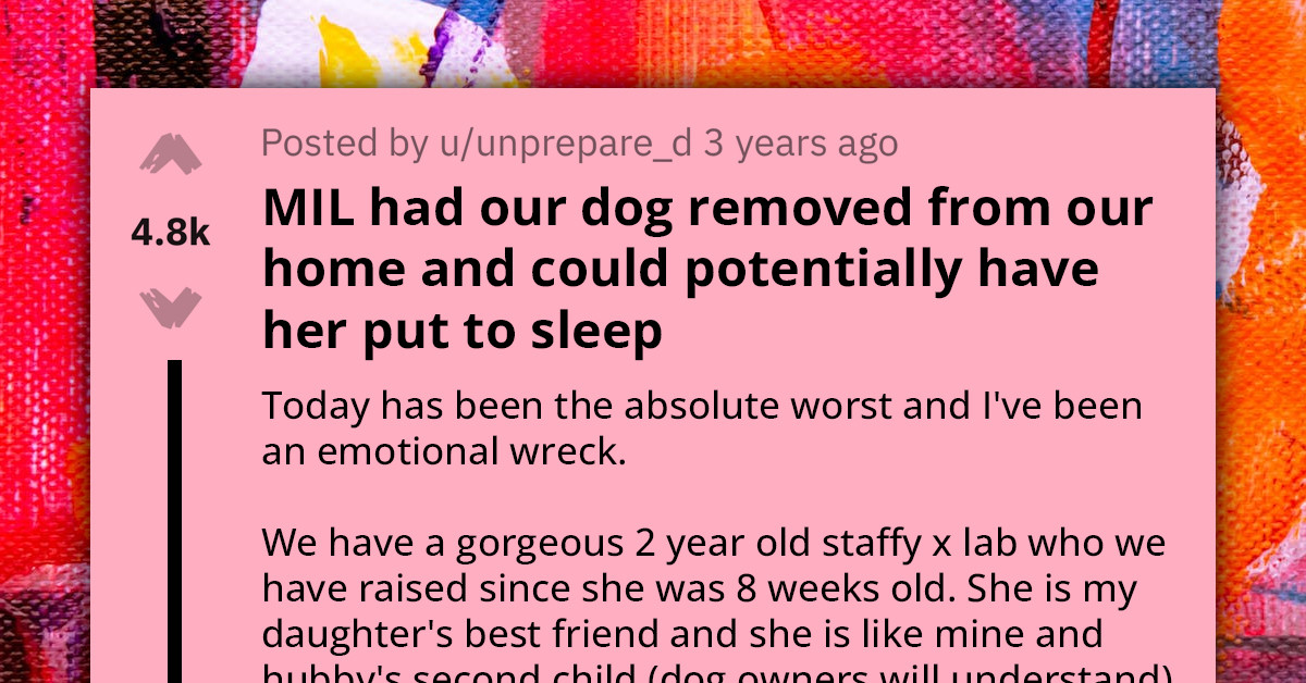 Desperate Redditor Seeks Advice On What To Do After Her MIL Reported Their Dog As An Illegal Breed, Causing Police To Take It Away
