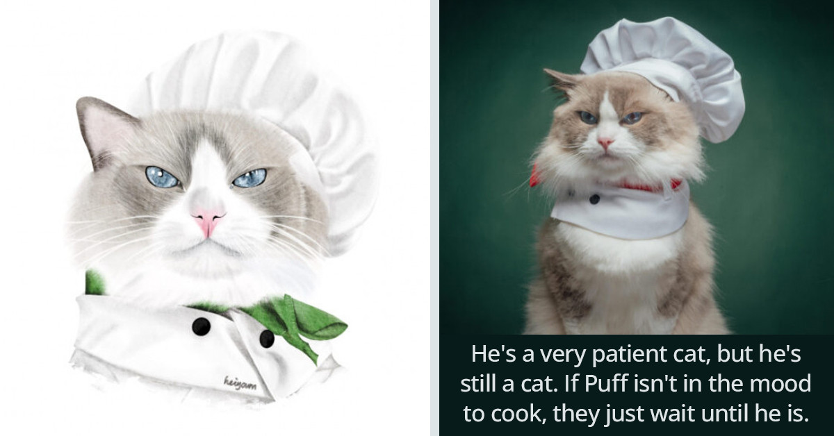 Cat Chef Called That Little Puff Reveals his Cooking Hacks