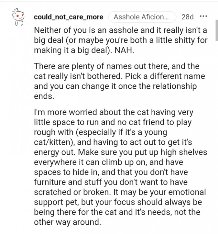 Redditor Receives Online Backlash For Naming His Cat After His