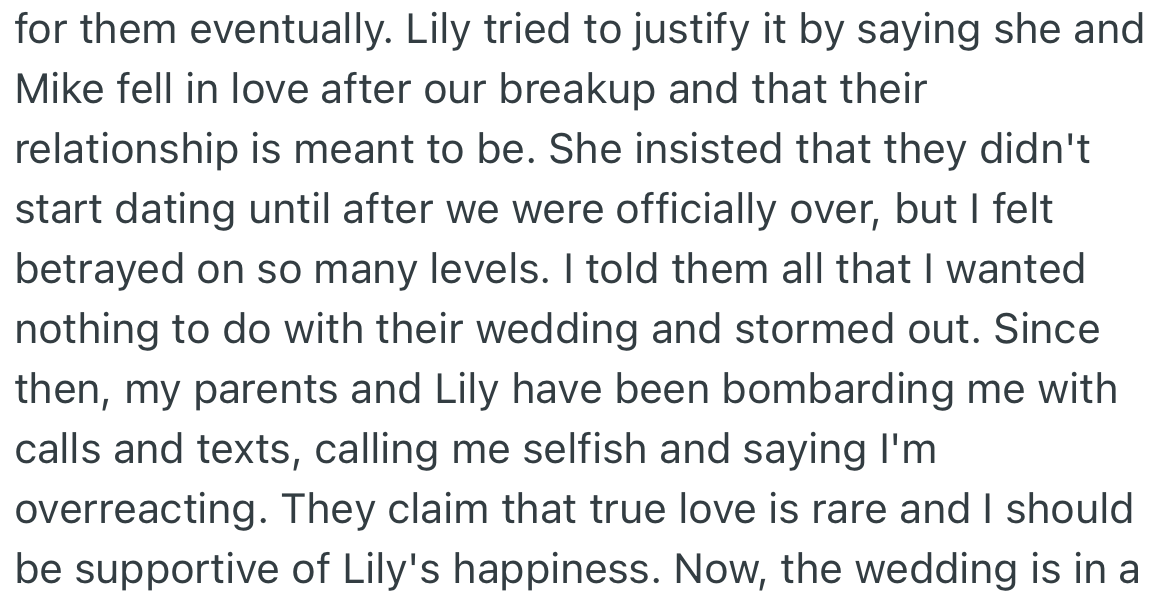 OP’s sister (Lily) swore that her relationship with Mike only started after theirs was over. OP felt betrayed and told her she wanted nothing to do with the wedding plans.