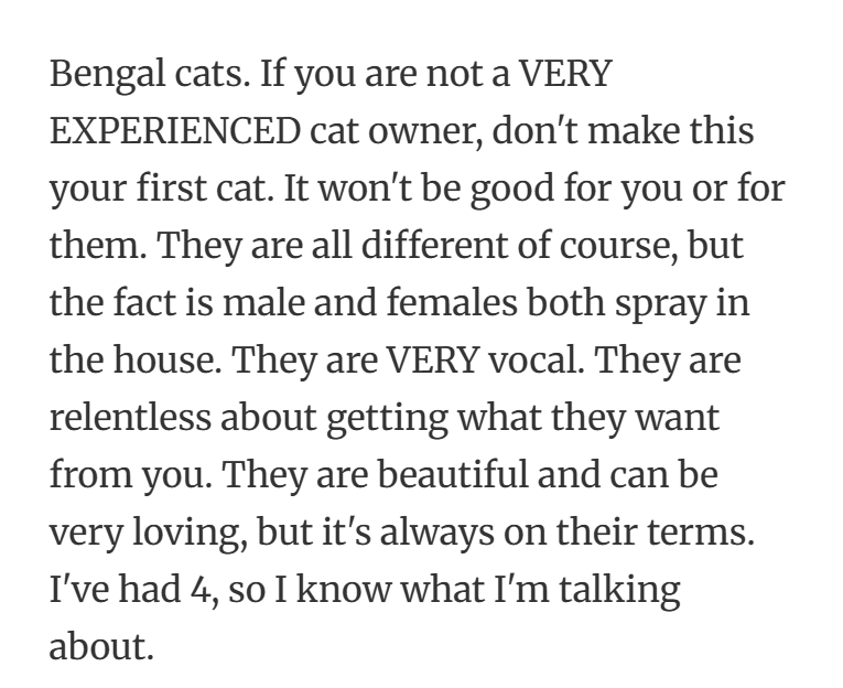 33. “Owning a Bengal isn’t pet care, it’s customer service with claws.”