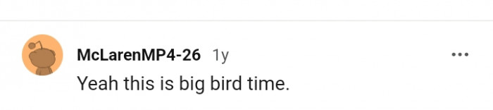 It is the big bird time