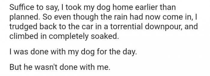 Redditor Who Took Dog To Work Regrets It As She Experiences One Of The ...
