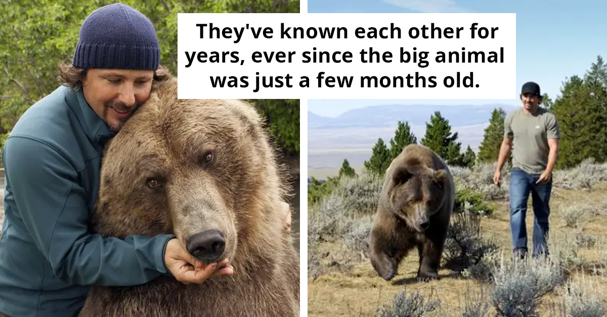 Man Raises Orphaned Grizzly Bear And Makes Unbreakable Bond With Him