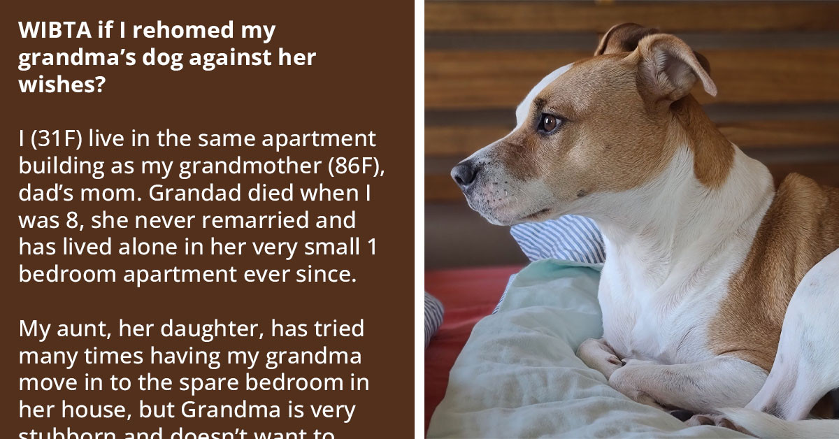 Family Plots Strategy To Invade Their Granny's Home And Kidnap Her Dog, As They've Deemed The Canine A Threat To Her Safety