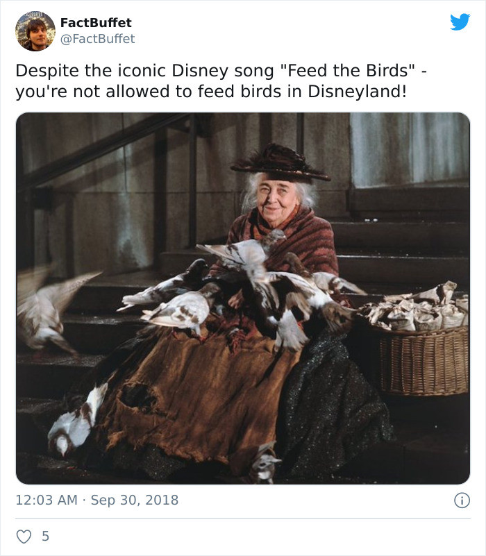 29. Do not feed the birds
