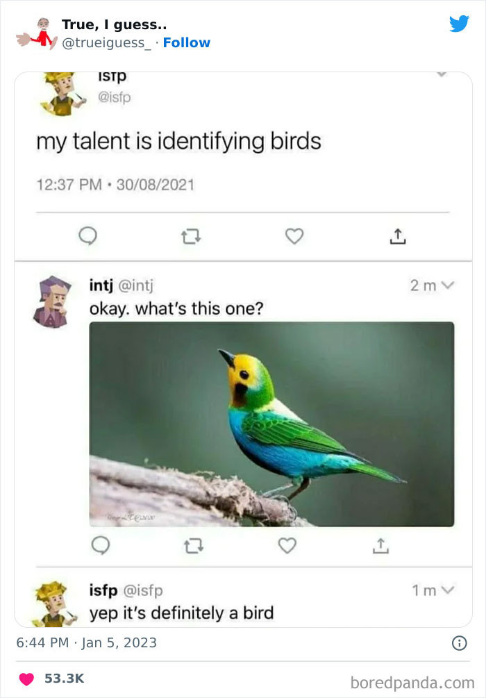 2. Definitely a bird