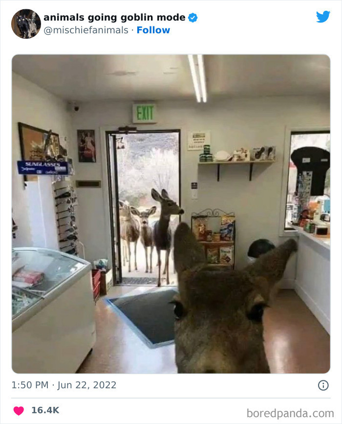 23. Oh, deer.