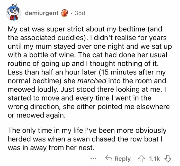 OP Shares How Their Elderly Dog Peed While Cuddling, And The Redditors