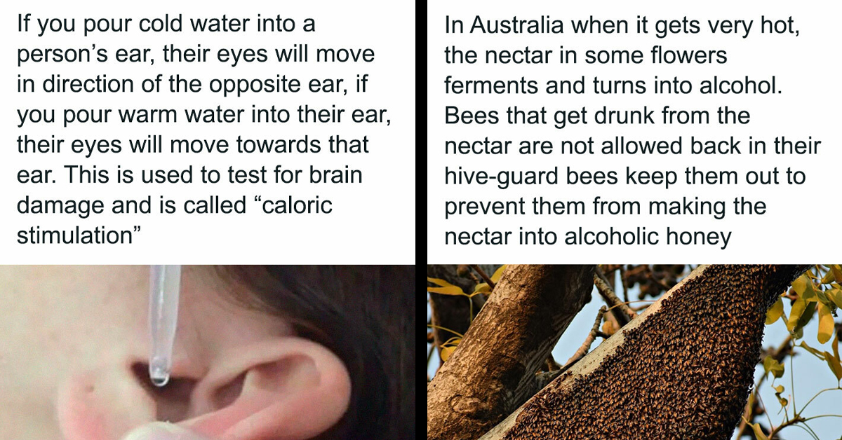 Learn Something New With These 30 Educational Pictures That Is Sure To Explain Something Bizarre About The World