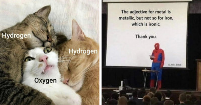 Some Of The Most Adorable And Wholesome Memes To Chase Away Your SAD