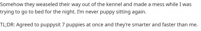 Then this is how OP ended this post. He states that he won't be puppysitting again and then adds a TLDR.