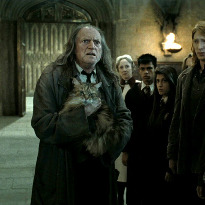 Argus Filch in the movie