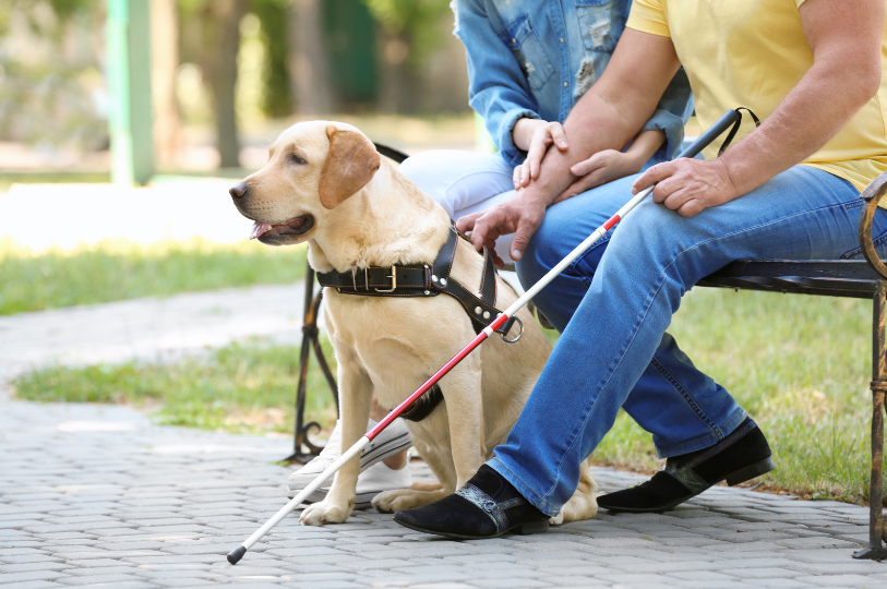 Don't be a source of distraction for the working dog.