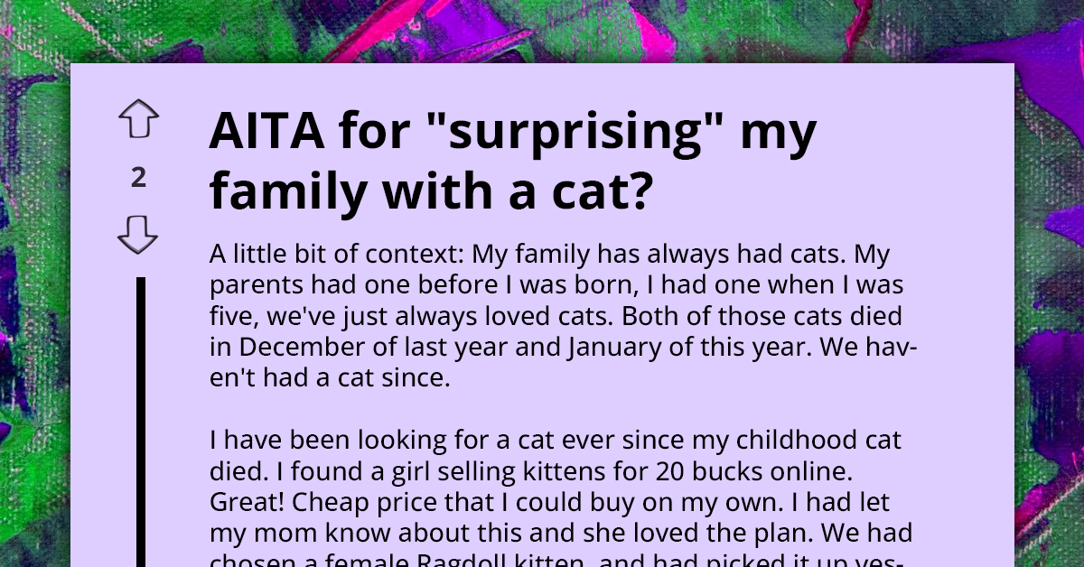 Son's Decision To Surprise His Family With Cat Backfires With His Parents On Verge Of Separation