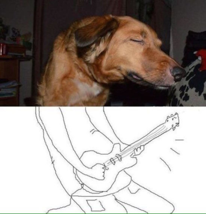 10. Paw-some Performances: When Dogs Jam Out and Steal the Show