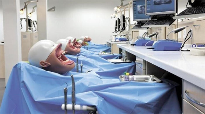 48. Dental Mannequins Are Kind Of Terrifying