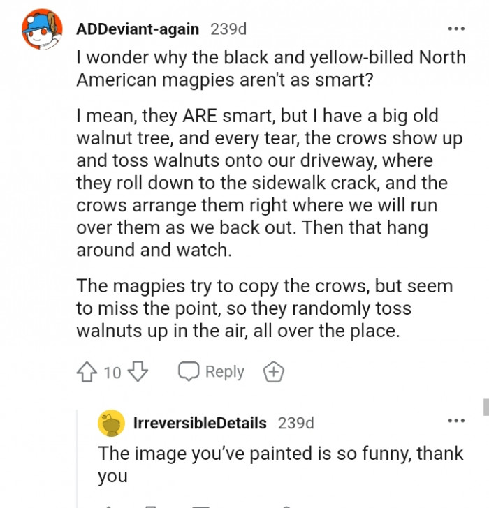 This Redditor has an interesting story to share
