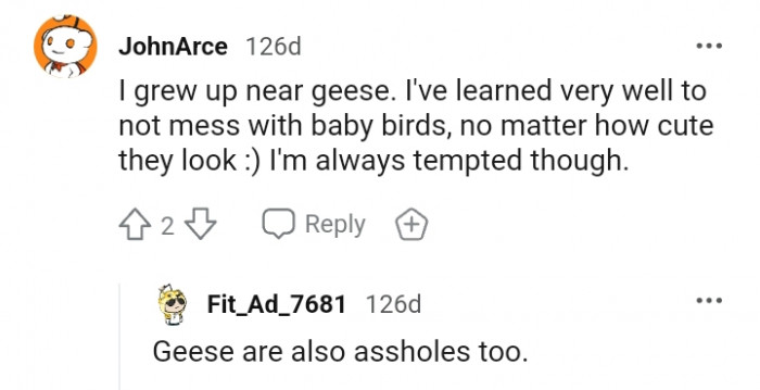 This Redditor has learned not to mess with baby birds