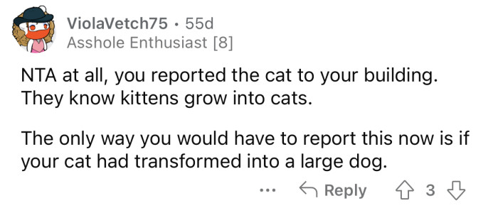 Okay, but has your cat transformed into a large dog?