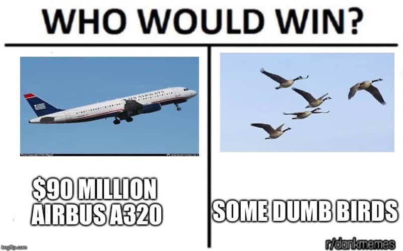 Who would win?