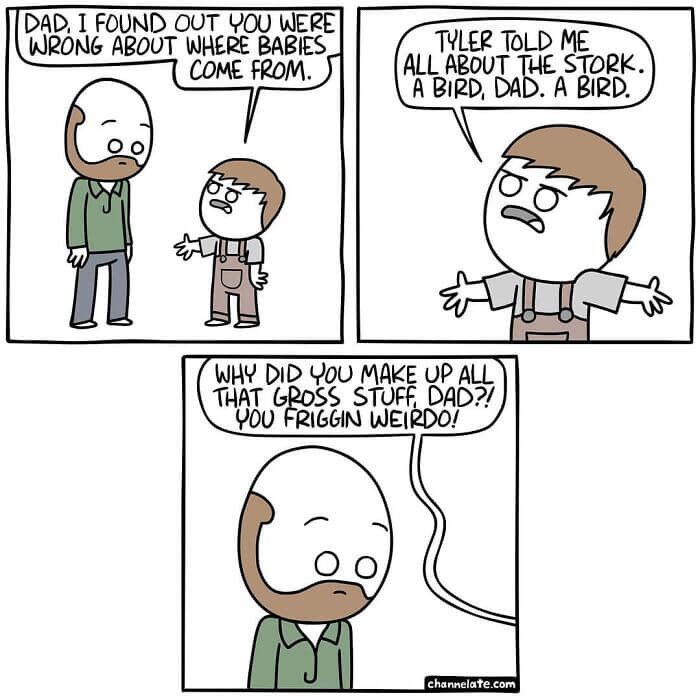 27. Where do babies come from?