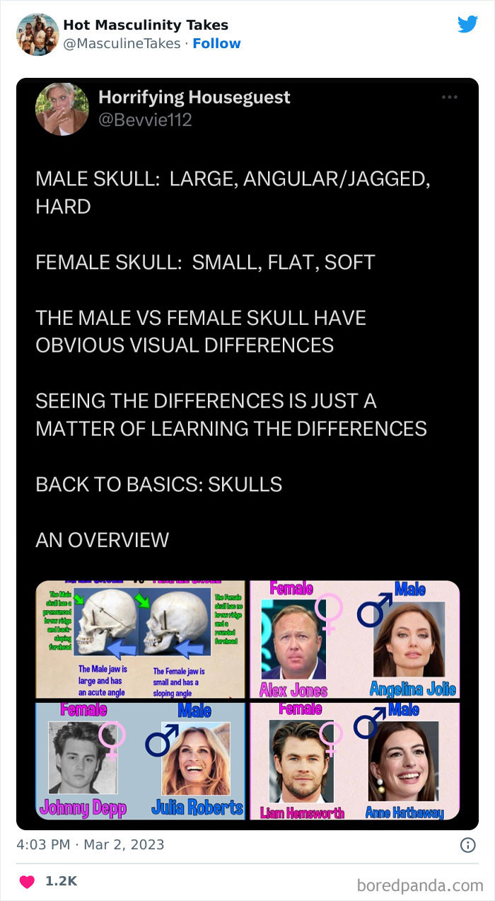 22. An overview of skulls