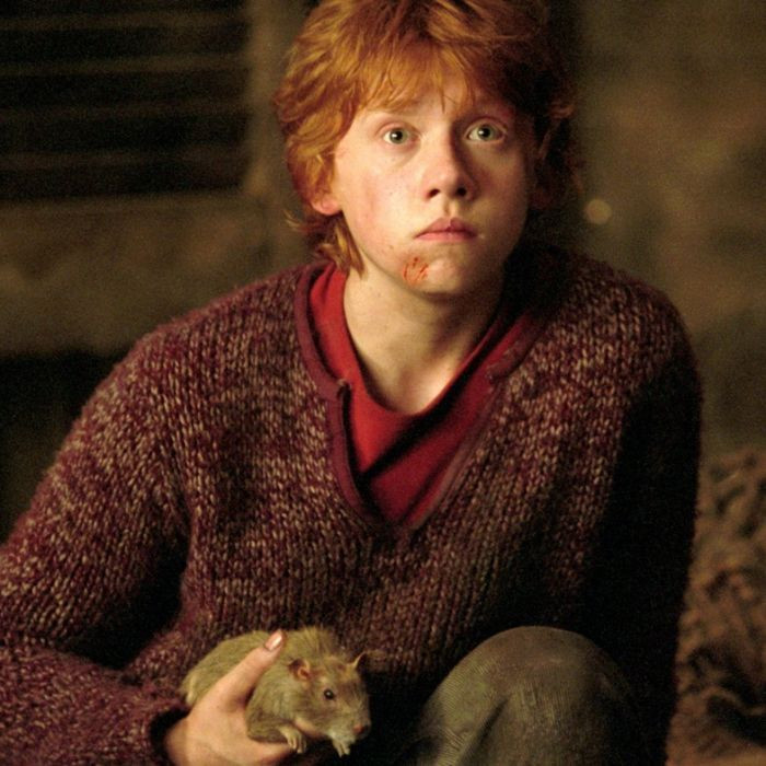 Ron Weasley in a Harry Potter film