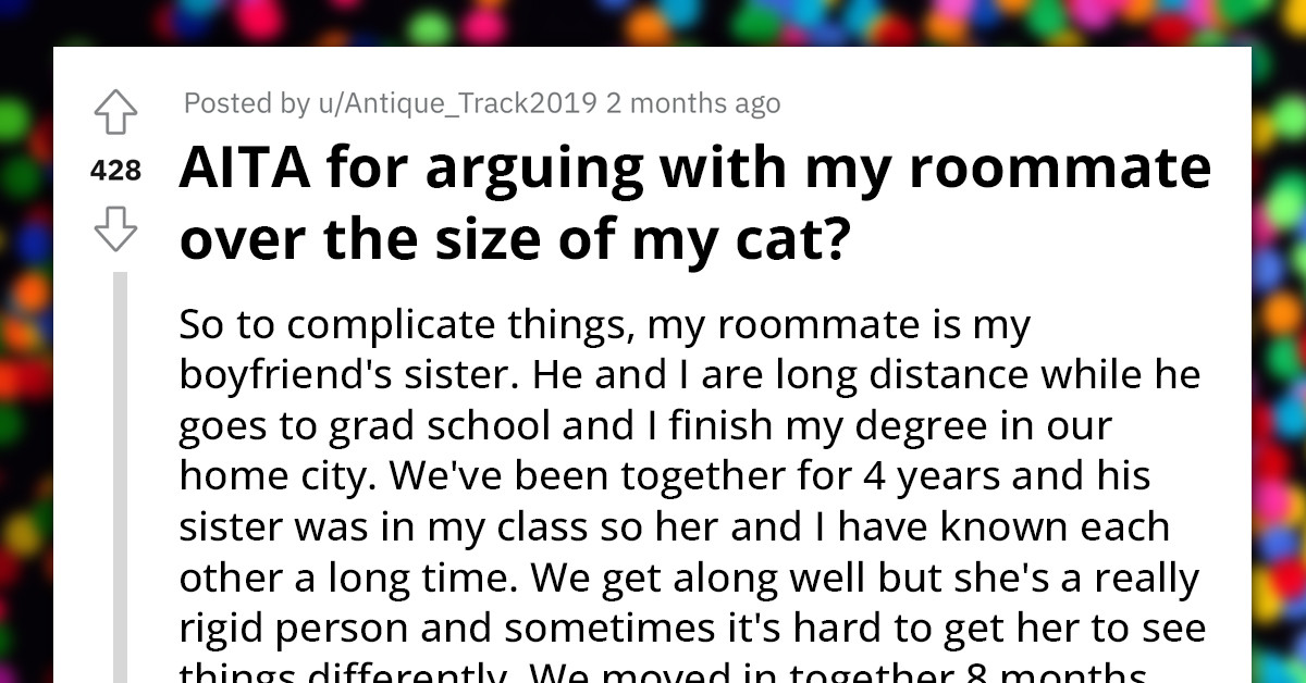 Redditor Asks For Advice After Her Roommate Threatens To "Confess" Her Cat's Weight To Their Building Management