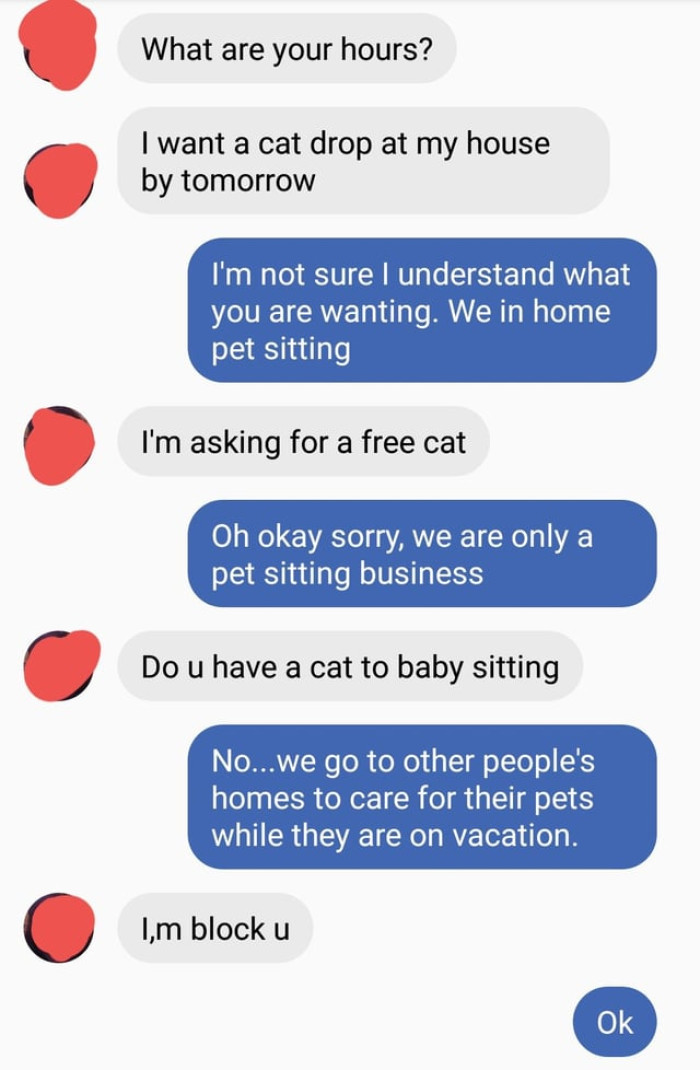 This person just wants a free cat