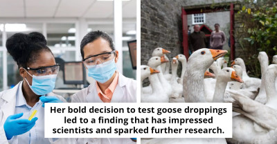 Middle School Student Discovers Cancer-Fighting Compound In Unlikely Source