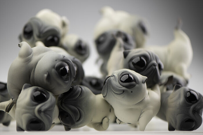 1. Here are Pugs
