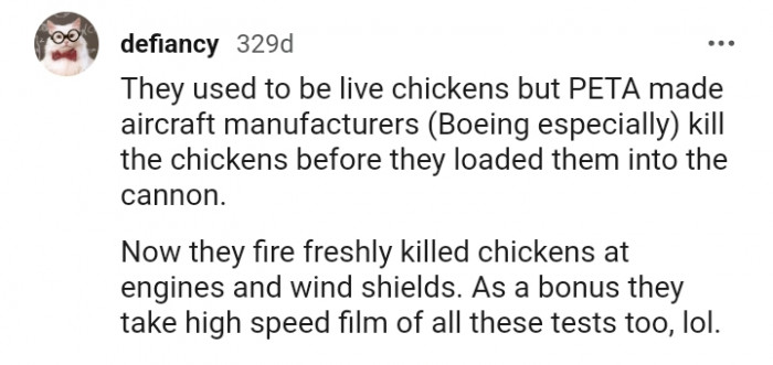 They fire freshly killed chicken